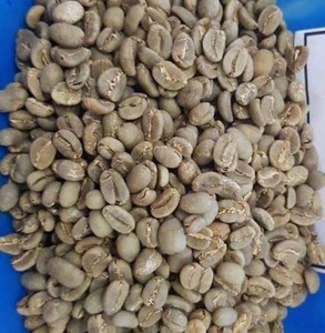 Café Vert Bio Arabica Non-OGM, Origine Vietnam IIGLOBAL FARM Grade 24 Maturité, Norme d'Exportation en Vrac à Vendre - Product Image 1