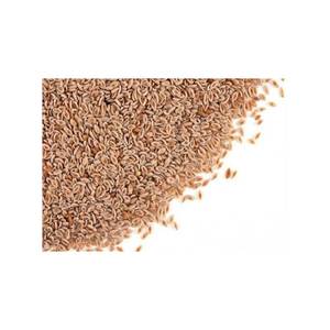 Extracto de hierbas en polvo de cáscara de semilla de psyllium Natural 100% de alta calidad - Product Image 1