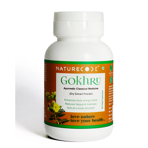 Complément alimentaire antioxydant Gokhru pour adultes et adolescents, non destiné aux femmes enceintes - Product Image 1