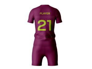 ชุดเสื้อเจอร์ซีย์วอลเลย์บอลแบบสั่งทำเครื่องแบบทีมของคุณเอง - Product Image 2