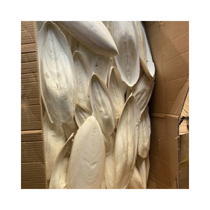 Hueso de Sepia Seco Orgánico de Alta Calidad 100% Nutritivo con Vitaminas para Alimento y Juguetes para Aves - Product Image 1
