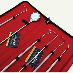 High Quality Equine Dental Periodontal Instrument Set with Long <b>Handle</b> Veterinary Probe Mouth Mirror <b>Pick</b> for Equine Dental Care - Product Image 1