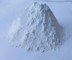 Best quality Calcium carbonate powder limestone 98% CaCO3 cheap cost