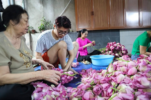 ชาเขียวบัวพรีเมี่ยมจากเวียดนาม: ผสมผสานการผ่อนคลายแบบออร์แกนิก, ผิวธรรมชาติและการแช่เพื่อสุขภาพ-บัวสีฟ้าเวียดนาม - Product Image 3