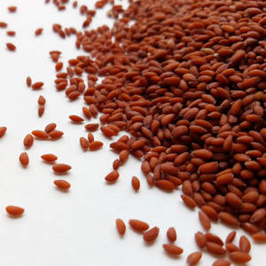 Berro | Lleno de Vitaminas A y C | Ideal para Dieta Diaria - Product Image 5