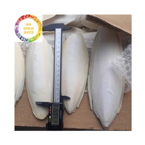 Cuttlebone de alta calidad súper barato de la fábrica de Vietnam para pájaros y tortugas - Product Image 6