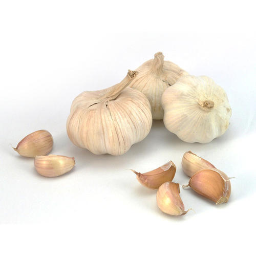 Высококачественный органический свежий чеснок из Филиппин-цельная лампочка