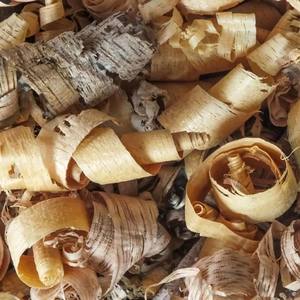 Virutas de madera de pino al por mayor para ropa de cama de animales | Virutas de pino limpias, secas y esponjosas para uso agrícola, estable y comodidad para mascotas, precio barato - Product Image 1