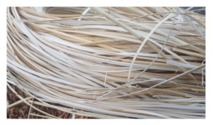 Vente en gros de bâtons de canne en rotin pour meubles Matière première de canne naturelle Noyau de rotin de 99GD Viet Nam - Product Image 6