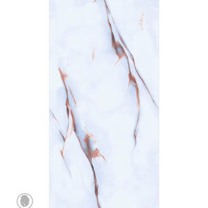 Carreaux de porcelaine sans fin brillants 24x48 Premium 600x1200 Carreaux de mur et de sol polis grand format Collection d'exportation moderne durable - Product Image 1