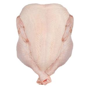 Poulet entier congelé en vente en ligne - Product Image 1