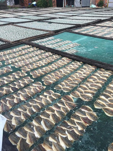 ปลาแถบแห้งแบบพรีเมี่ยมจากเวียดนามอาหารว่างอาหารทะเลแสนอร่อยและส่วนประกอบคุณภาพสูงสำหรับการส่งออก // Ms. Lily Ngo - Product Image 4