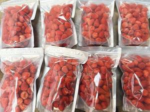 Fresas Liofilizadas DISPONIBLES, Fruta Crujiente Recogida a Mano, Ideal para Hornear Postres, Smoothies y Uso Diario, Vietnam - Product Image 2