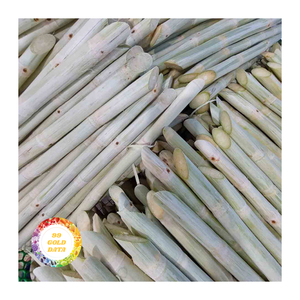 แท่งอ้อยแช่แข็งเกรดส่งออกผลิตภัณฑ์สำหรับบริการด้านอาหารและขายปลีกระหว่างประเทศ - Product Image 1