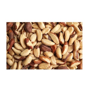 Stock en gros disponible de noix du Brésil bio séchées à prix de gros - Product Image 2