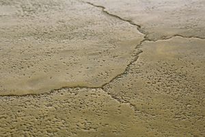 Mesa auxiliar de aluminio atractiva de lujo, mesa plegable de aluminio fundido a mano superior Ovalada para muebles de sala de estar y dormitorio - Product Image 3