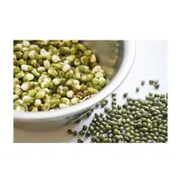 Wholesale Natural Organic High Quality Green Mung Beans For Sprouting Green Gram Beans Green Vigna Beans