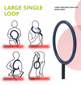Máquina PEMF Veterinaria <span class=keywords><strong>de</strong></span> Alta Intensidad en Estuche con Ruedas, Tratamiento No Invasivo para la Curación Ósea Equina y la Reducción <span class=keywords><strong>de</strong></span> la Inflamación - Product Image 6