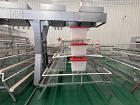 Nouveau système de cages automatiques à haute efficacité pour poules pondeuses avec automatisation complète de la ferme, alimentation automatique, gain de place