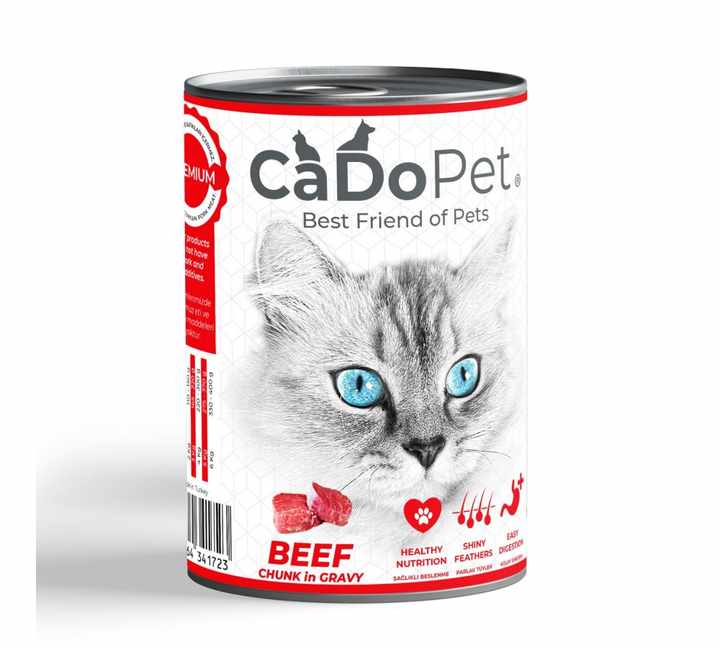 Wet Foods for Cat and Dog