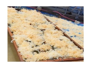 Cheap Price Irish <b>Sea</b> <b>Moss</b> 5-7% Moisture - Eucheuma Cottonii Seaweed - Premium New Dry Real Seaweed Vietnam White Seamoss - Product Image 5
