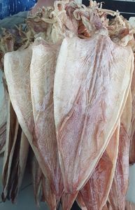 MEILLEURE VENTE Calmar Séché 2025 Parfait pour Griller et Remuer Friture Délicieux Snack De Fruits De Mer Prêt À Expédier Du Vietnam - Product Image 3