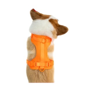 Arnés Ajustable de Nailon para Perro con Cierre de Hebilla, Color Naranja, Estilo Simple, Tipo Rower - Product Image 4