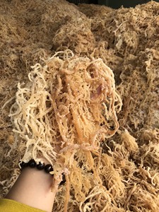 สาหร่ายทะเล Cottoniii - สาหร่ายทะเล Cottonii คุณภาพส่งออกจากเวียดนามที่มีสีสันและขนาดต่างๆ - Product Image 3