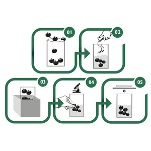 Bolsa Stomacher Estéril con Tapa Abierta sin Sistema de Cierre, Seguridad Alimentaria, Investigación, Laboratorio de Investigación, de Seguridad, de Laboratorio, de SECURE-T - Product Image 3