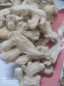 รากขิงอบแห้งจำนวนมากจากเวียดนามผลิตภัณฑ์ทางการเกษตรของบริษัท Bao Tram Anh - Product Image 3