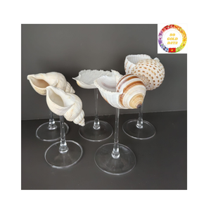 Custom Natural Shell Wine Goblet for Beach Wedding Decoration and Exotic Cocktail Serving Ideas - Product Image 5