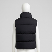 Chaleco Corto de Algodón Barato para Mujer, Otoño Invierno 2023, con Capucha, Cortavientos, Transpirable, con Forro de Piel de Zorro, Sin Mangas, Color Negro, Nuevo