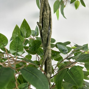 <b>Artificial</b> Ficus <b>Tree</b> with Braided Trunk – Luxury Indoor Plant 120/150/180 cm - Product Image 4