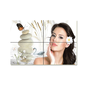 Carreaux de sol et de mur en céramique de finition rustique d'impression de dame moderne 300x300mm et 300X450mm décoration à la maison avec une demande énorme - Product Image 2