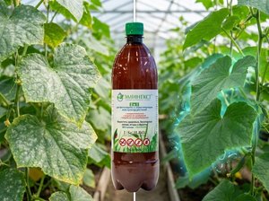 Concentrado de Biofertilizante Ecológico EMINEXT para Cultivos de Invernadero, Granja y Jardín - Product Image 3