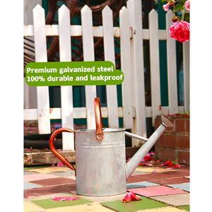 Arrosoir en métal de ferme rustique avec finition en étain brossé Parfait pour une utilisation en extérieur ou une décoration vintage - Product Image 1