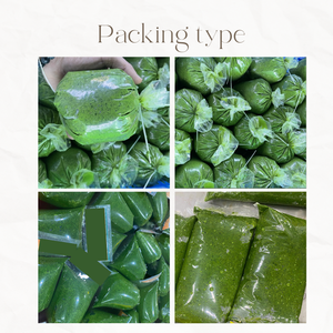 Hojas de Yuca Trituradas Congeladas de Vietnam, la Mejor Calidad, Marca KMI - Almacenamiento a -18°C - Product Image 4