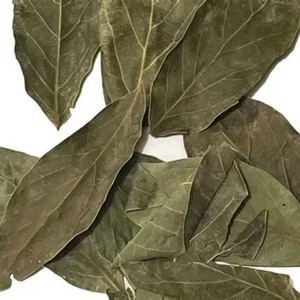 HOJAS DE AGUACATE ECOLÓGICO PARA TÉ Y SORTEO - Product Image 3