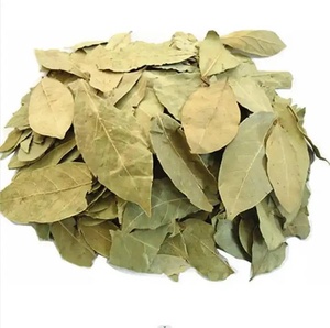 Feuilles de Laurier Vertes Entières Séchées 100% Biologiques, Épices Naturelles de Haute Qualité, Feuilles de Laurier Brutes pour la Cuisine, 50kg - Product Image 1