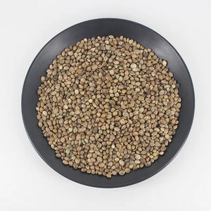 Graines de chanvre décortiquées, graines de chanvre en gros, graines de chanvre biologiques - Product Image 6