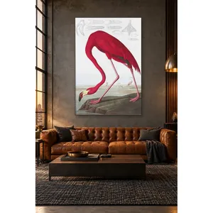 Fida Audubon Impression sur toile de flamant rose américain rouge - Product Image 1