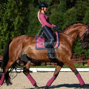 Les derniers pansements chauds de polo de CST Vêtements en molleton de cheval de haute qualité pour l'équitation Utilisation polyvalente en vente - Product Image 4