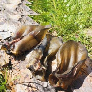 100% อาหารสุนัขพลังธรรมชาติแบบมีหูแห้งควายและวัวธรรมชาติ - Product Image 3