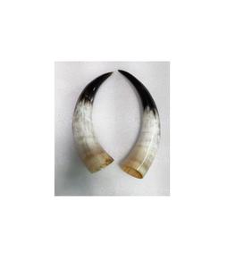 Par de bocina de búhos antiguos, claxon natural montado en la pared, tamaño personalizado, el mejor precio - Product Image 2