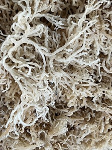 Musgo marino Eucheuma dorado de primera calidad de Vietnam, venta al por mayor a granel, barato para la producción de carragenina - Product Image 2