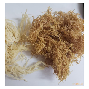 มอสทะเลแห้งสดใหม่ในเวียดนาม // ราคาที่ดีที่สุด-Mr. Pierre Luu - Product Image 1