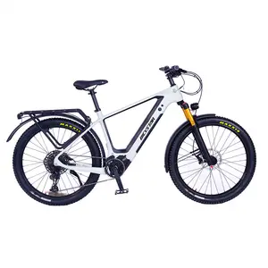 E 자전거 모터 // 키즈 전자 자전거/72v ebike 배터리/새로운 ebike