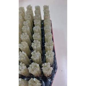 Cepillo Abrasivo de Diamante de Alta Dureza, Grano 12, OEM para Acabado Lapatro - Product Image 3