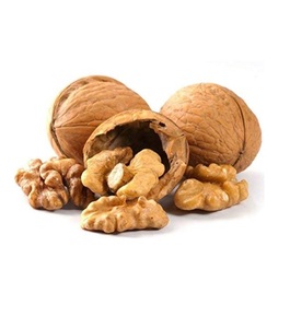 Ready for Export US Origin Grade a <b>Walnut</b> Kernels Without <b>Shell</b> Highest Quality Healthy Organic Dried Bulk Dutched - Product Image 4