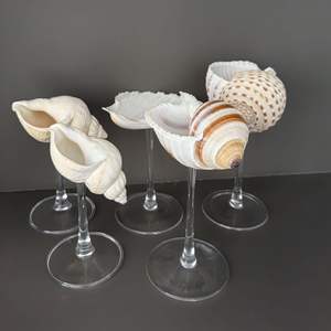 Tasse en verre de luxe en forme de coquille conçue pour les stations thermales et les paramètres de table haut de gamme - Product Image 5